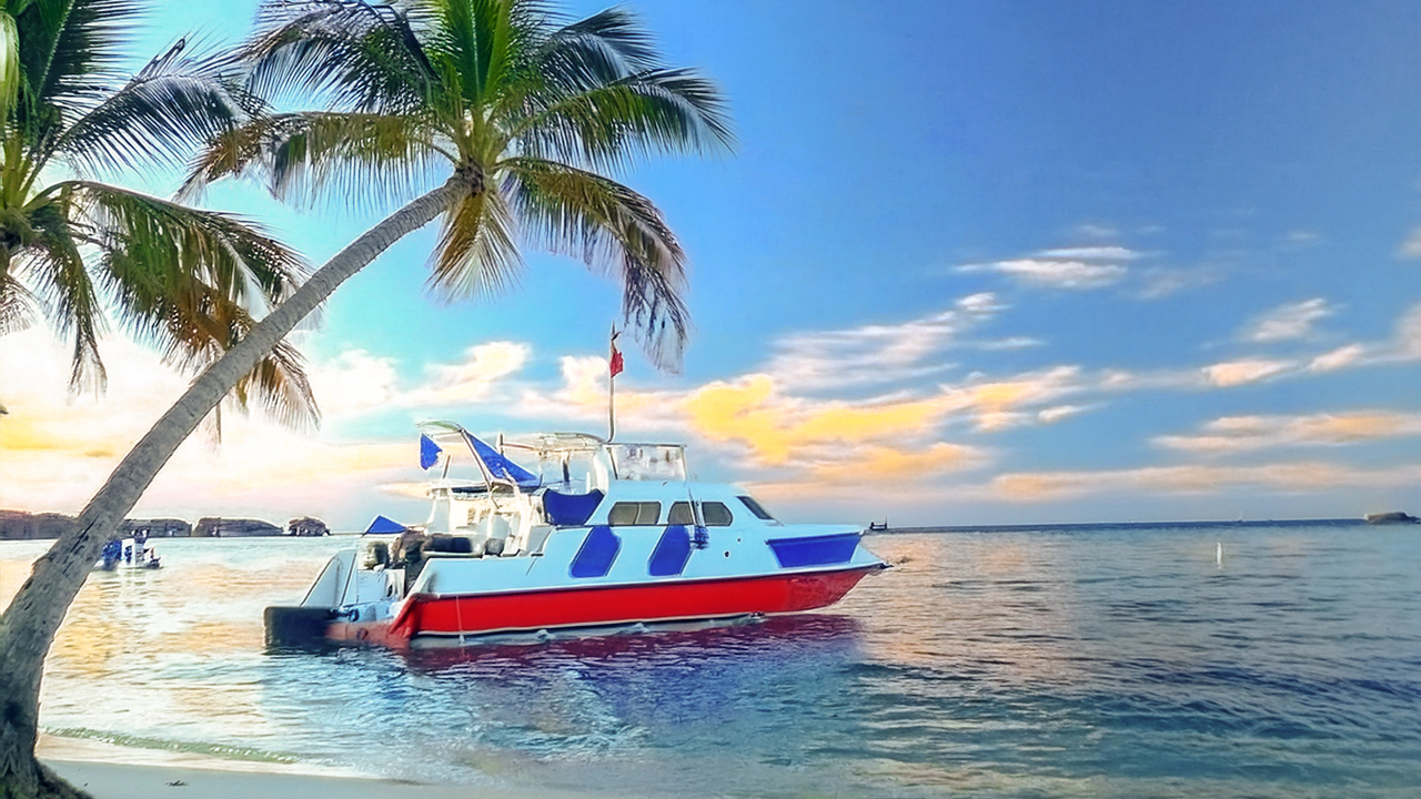 Firefly-Una-escena-serena-en-una-playa-tropical-al-atardecer.-En-primer-plano,-un-Party-Boat-blanco-